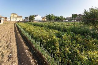 Terreno en venta en Zubia (La)