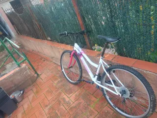 Bicicletas en buen estado una 50€ las dos 80€