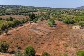 Terreno en venta en Manacor Centro en Manacor