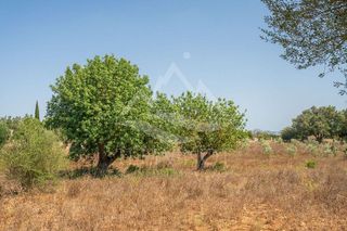 Terreno en venta en Manacor Centro en Manacor