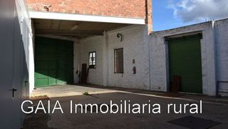 Nave industrial en venta en Maella