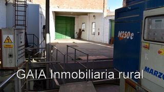 Nave industrial en venta en Maella