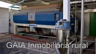 Nave industrial en venta en Maella