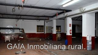 Nave industrial en venta en Maella