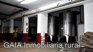 Nave industrial en venta en Maella