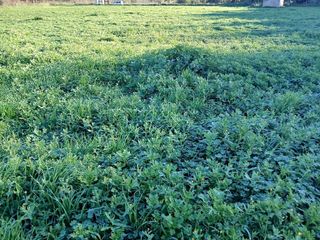 Terreno en venta en Mijas Golf en Mijas