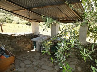 Terreno en venta en Benadalid