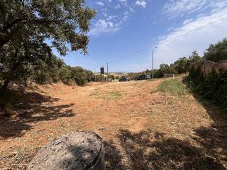 Terreno en venta en Casar (El)