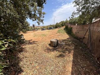 Terreno en venta en Casar (El)