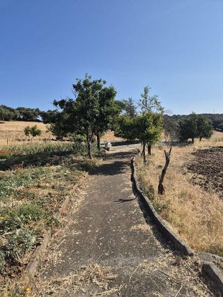 Terreno en venta en Fregenal de la Sierra
