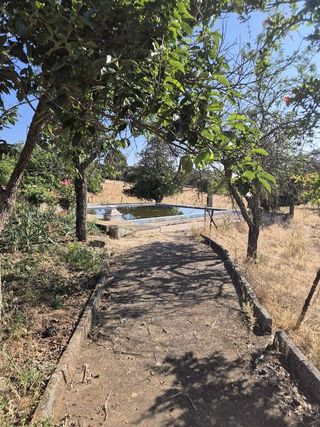 Terreno en venta en Fregenal de la Sierra