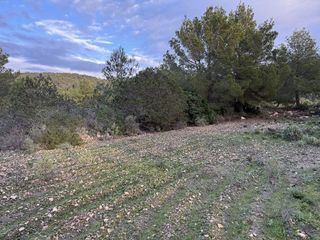 Solar en venta en Cala Vedella - Cala Tarida - Cala Conta en Sant Josep de sa Talaia