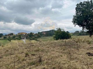 Terreno en venta en Regueras (Las)