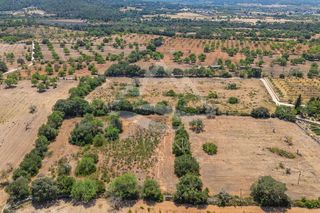 Terreno en venta en Felanitx
