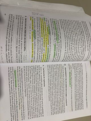 Principios de Derecho Mercantil (Tomo I)