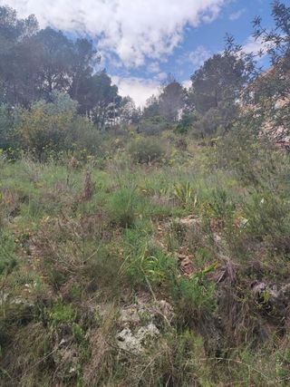 Terreno en venta en Rótova