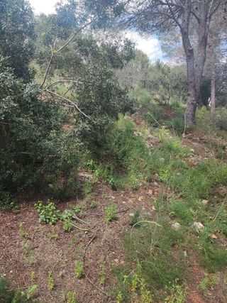 Terreno en venta en Rótova