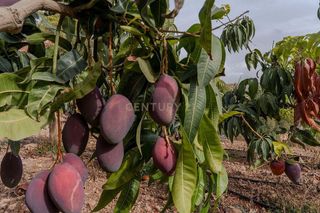 Terreno en venta en Gualchos pueblo en Gualchos