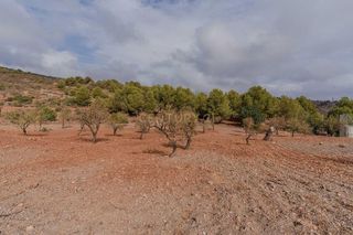 Terreno en venta en Gualchos pueblo en Gualchos