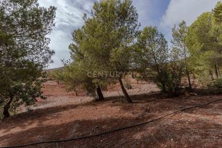 Terreno en venta en Gualchos pueblo en Gualchos