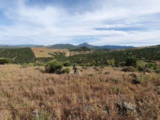 Terreno en venta en Casares