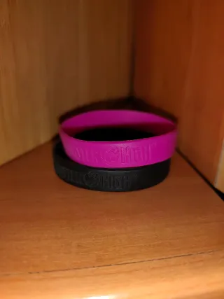 Monedero Monster High + 3 pulseras