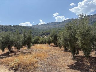 Casa rural en venta en Puente Jontoya - Puente de la Sierra - El Arroyo en Jaén