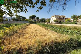 Terreno en venta en Zubia (La)