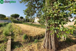 Terreno en venta en Zubia (La)