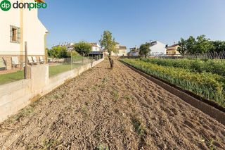 Terreno en venta en Zubia (La)
