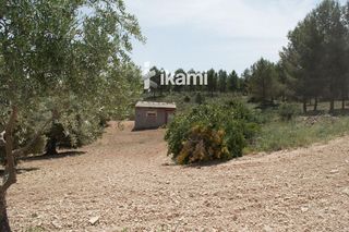 Chalet en venta en Campo de Criptana