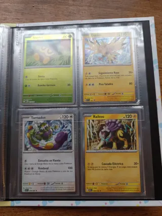 Cartas Pokémon Holo