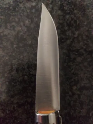 Coltello tipo Opinel