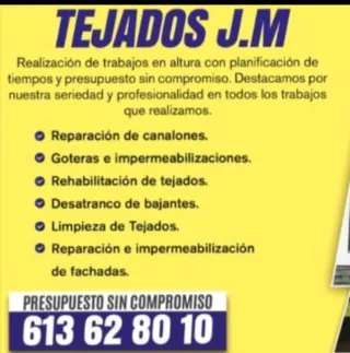 Reparación de tejados y reformas en general.