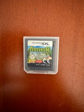Gioco Nintendo Ds