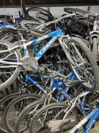 Muchas bicicletas Orbea Tuareg