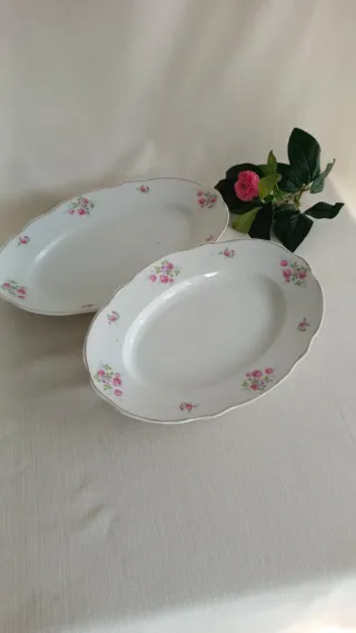 2 bandejas santa clara