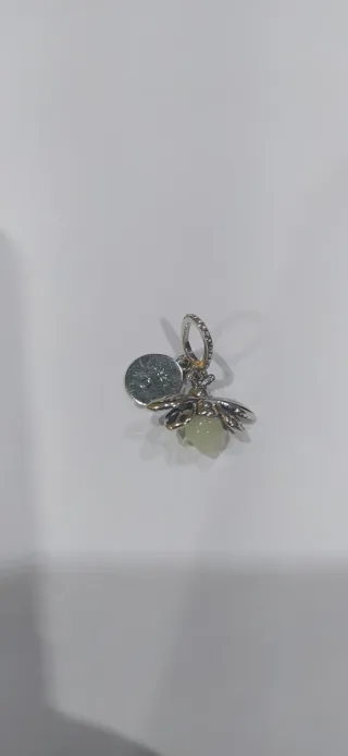 Charm de plata