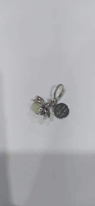 Charm de plata