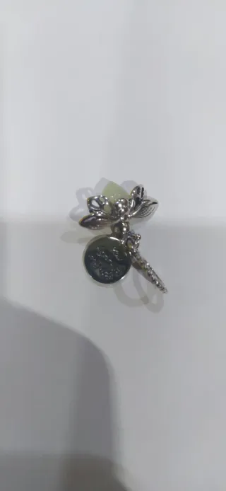 Charm de plata
