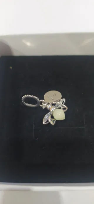 Charm de plata