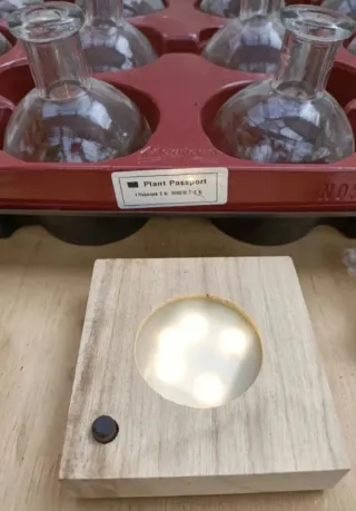 Set Vaso Ampolla Idroponica + Base Led