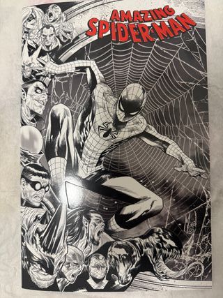 Amazing Spider-Man Panini variant Checchetto