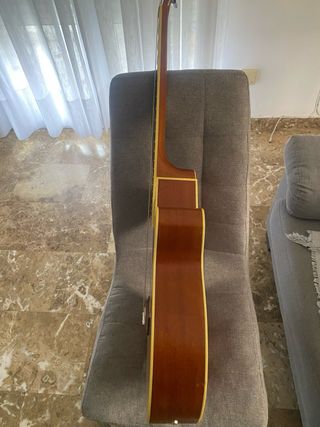 Guitarra electroacustica Daytona Buen estado