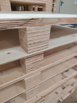 Paletinas 1,2 x 0,60