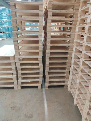 Paletinas 1,2 x 0,60