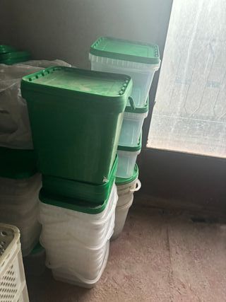 Botes de oliva,cristal y plástico