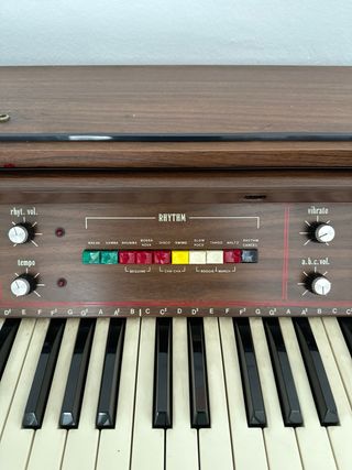 Órgano Vintage BRIO B-CS