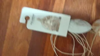 Cinturón de conchas nacaradas