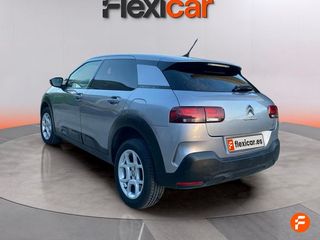 Citroën C4 Cactus PureTech 81KW (110CV) S&S Feel